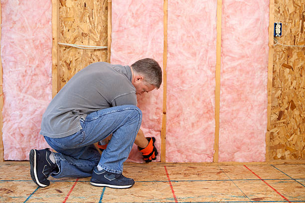 Insulation Repair Services in Brush Prairie, WA
